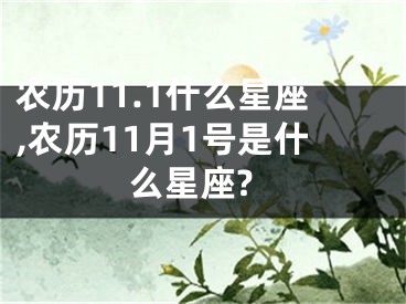 农历11.1什么星座,农历11月1号是什么星座?