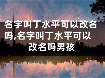 名字叫丁水平可以改名吗,名字叫丁水平可以改名吗男孩