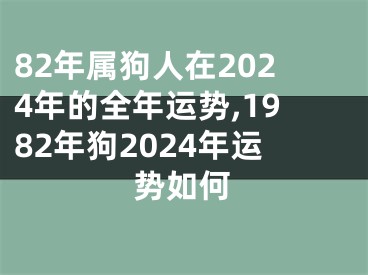 82年属狗人在2024年的全年运势,1982年狗2024年运势如何