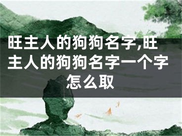 旺主人的狗狗名字,旺主人的狗狗名字一个字怎么取