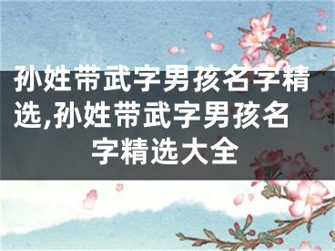 孙姓带武字男孩名字精选,孙姓带武字男孩名字精选大全