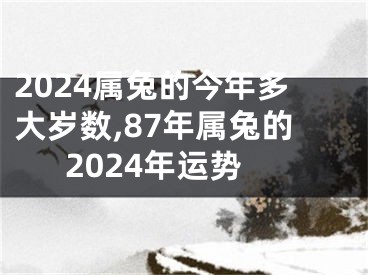 2024属兔的今年多大岁数,87年属兔的2024年运势