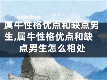 属牛性格优点和缺点男生,属牛性格优点和缺点男生怎么相处