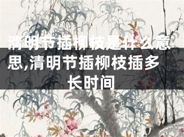 清明节插柳枝是什么意思,清明节插柳枝插多长时间