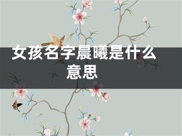  女孩名字晨曦是什么意思 