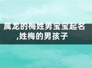 属龙的梅姓男宝宝起名,姓梅的男孩子