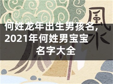 何姓龙年出生男孩名,2021年何姓男宝宝名字大全