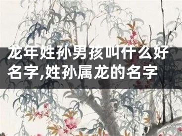 龙年姓孙男孩叫什么好名字,姓孙属龙的名字