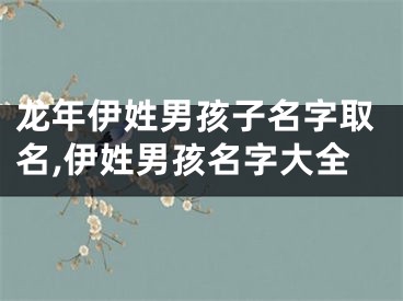 龙年伊姓男孩子名字取名,伊姓男孩名字大全