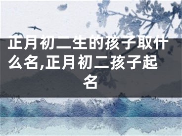 正月初二生的孩子取什么名,正月初二孩子起名