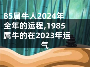 85属牛人2024年全年的运程,1985属牛的在2023年运气