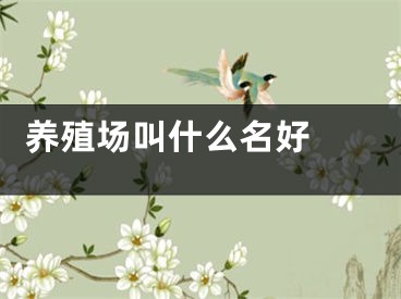  养殖场叫什么名好 