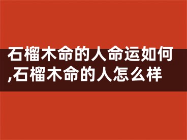 石榴木命的人命运如何,石榴木命的人怎么样