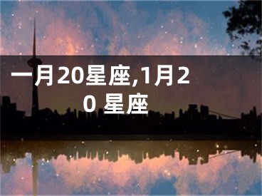 一月20星座,1月20 星座