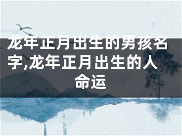 龙年正月出生的男孩名字,龙年正月出生的人命运