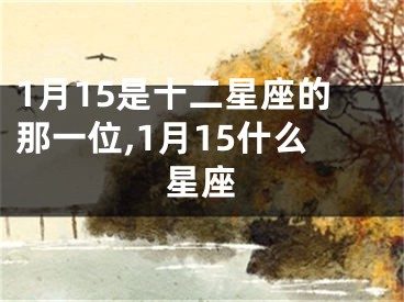 1月15是十二星座的那一位,1月15什么星座