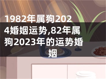 1982年属狗2024婚姻运势,82年属狗2023年的运势婚姻