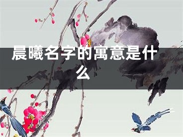  晨曦名字的寓意是什么 