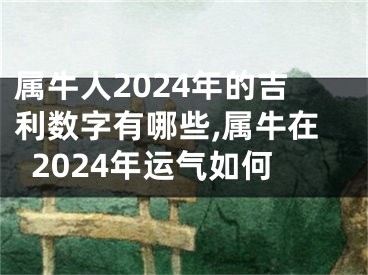 属牛人2024年的吉利数字有哪些,属牛在2024年运气如何