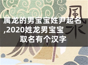 属龙的男宝宝姓尹起名,2020姓龙男宝宝取名有个汉字