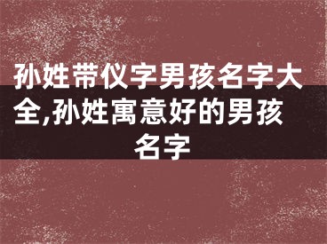 孙姓带仪字男孩名字大全,孙姓寓意好的男孩名字