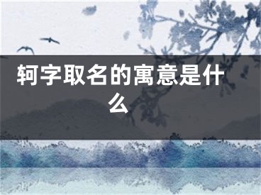  轲字取名的寓意是什么 