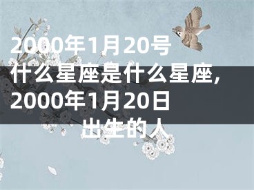 2000年1月20号什么星座是什么星座,2000年1月20日出生的人