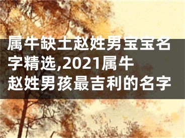 属牛缺土赵姓男宝宝名字精选,2021属牛赵姓男孩最吉利的名字