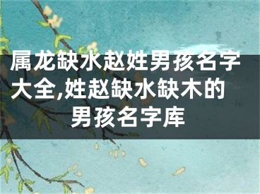 属龙缺水赵姓男孩名字大全,姓赵缺水缺木的男孩名字库