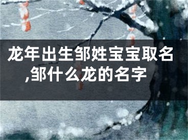 龙年出生邹姓宝宝取名,邹什么龙的名字