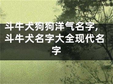 斗牛犬狗狗洋气名字,斗牛犬名字大全现代名字