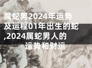 属蛇男2024年运势及运程01年出生的蛇,2024属蛇男人的运势和财运