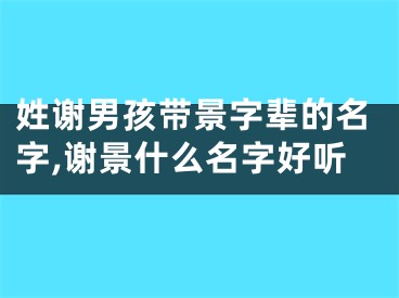 姓谢男孩带景字辈的名字,谢景什么名字好听