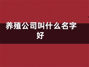  养殖公司叫什么名字好 