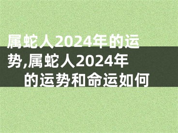 属蛇人2024年的运势,属蛇人2024年的运势和命运如何