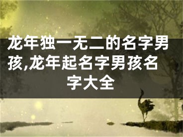 龙年独一无二的名字男孩,龙年起名字男孩名字大全