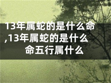 13年属蛇的是什么命,13年属蛇的是什么命五行属什么