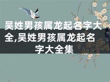 吴姓男孩属龙起名字大全,吴姓男孩属龙起名字大全集