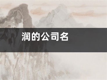  润的公司名 