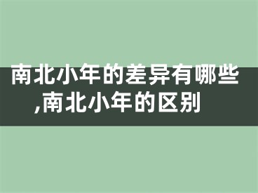 南北小年的差异有哪些,南北小年的区别