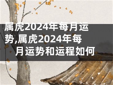 属虎2024年每月运势,属虎2024年每月运势和运程如何