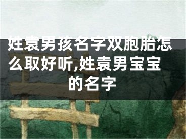 姓袁男孩名字双胞胎怎么取好听,姓袁男宝宝的名字