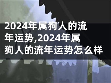 2024年属狗人的流年运势,2024年属狗人的流年运势怎么样