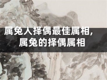 属兔人择偶最佳属相,属兔的择偶属相