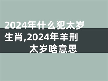 2024年什么犯太岁生肖,2024年羊刑太岁啥意思