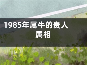 1985年属牛的贵人属相