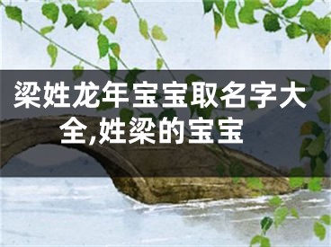 梁姓龙年宝宝取名字大全,姓梁的宝宝