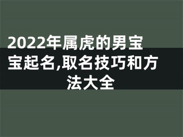 2022年属虎的男宝宝起名,取名技巧和方法大全