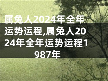 属兔人2024年全年运势运程,属兔人2024年全年运势运程1987年