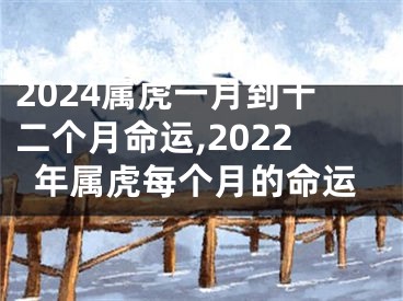 2024属虎一月到十二个月命运,2022年属虎每个月的命运